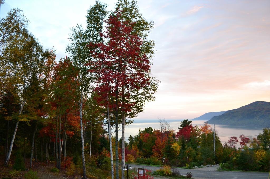 Gite Nature Et Pinceaux Baie-Saint-Paul Esterno foto